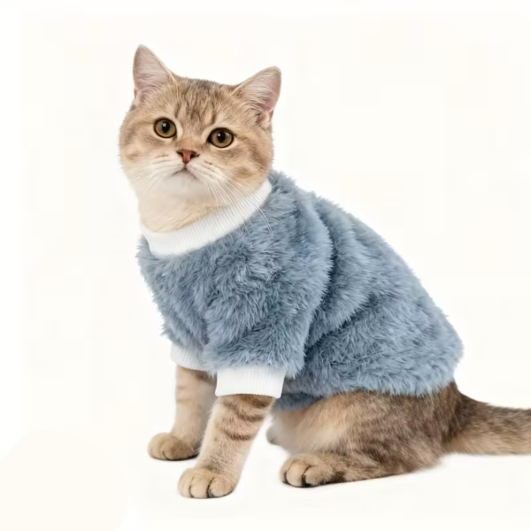 Cute Plush Cat Sweatshirt