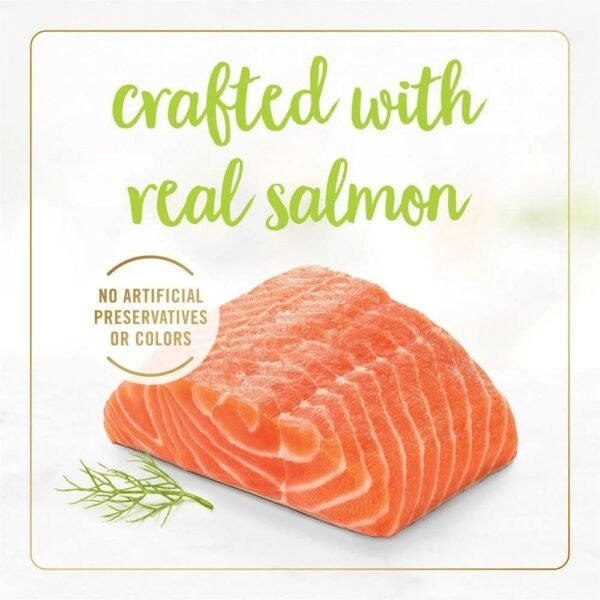 Fancy Feast Grilled Salmon Feast in Gravy