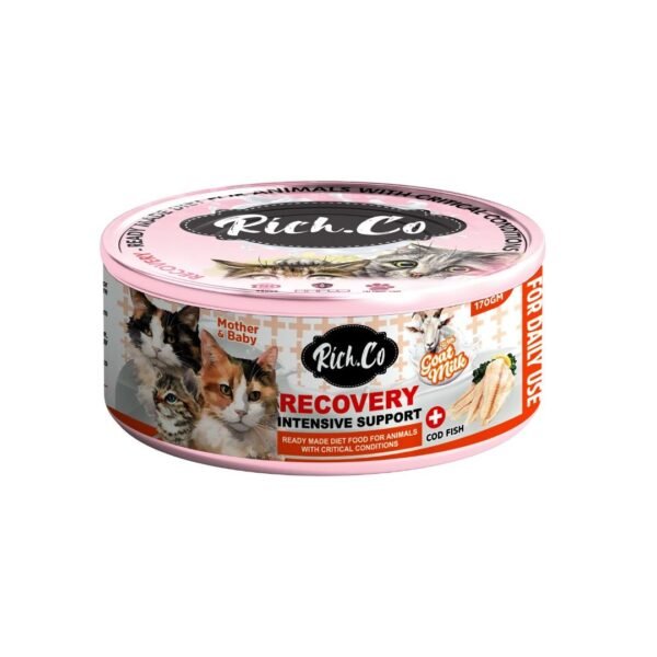 inv_product-1749201563630.jpg Rich.co 170g Recovery Intensive Support Wet Cat Food