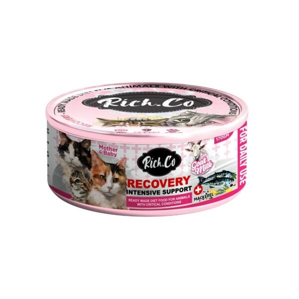 inv_product-1749201571258.jpg Rich.co 170g Recovery Intensive Support Wet Cat Food